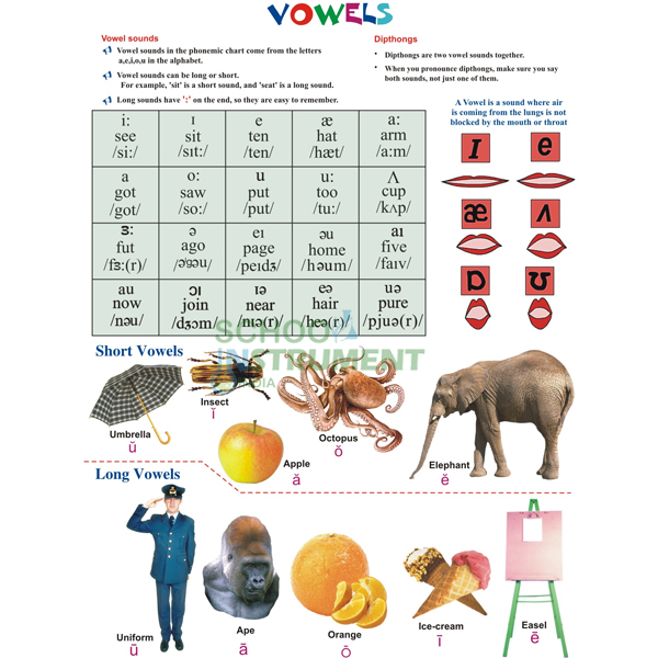 English Teaching Charts
